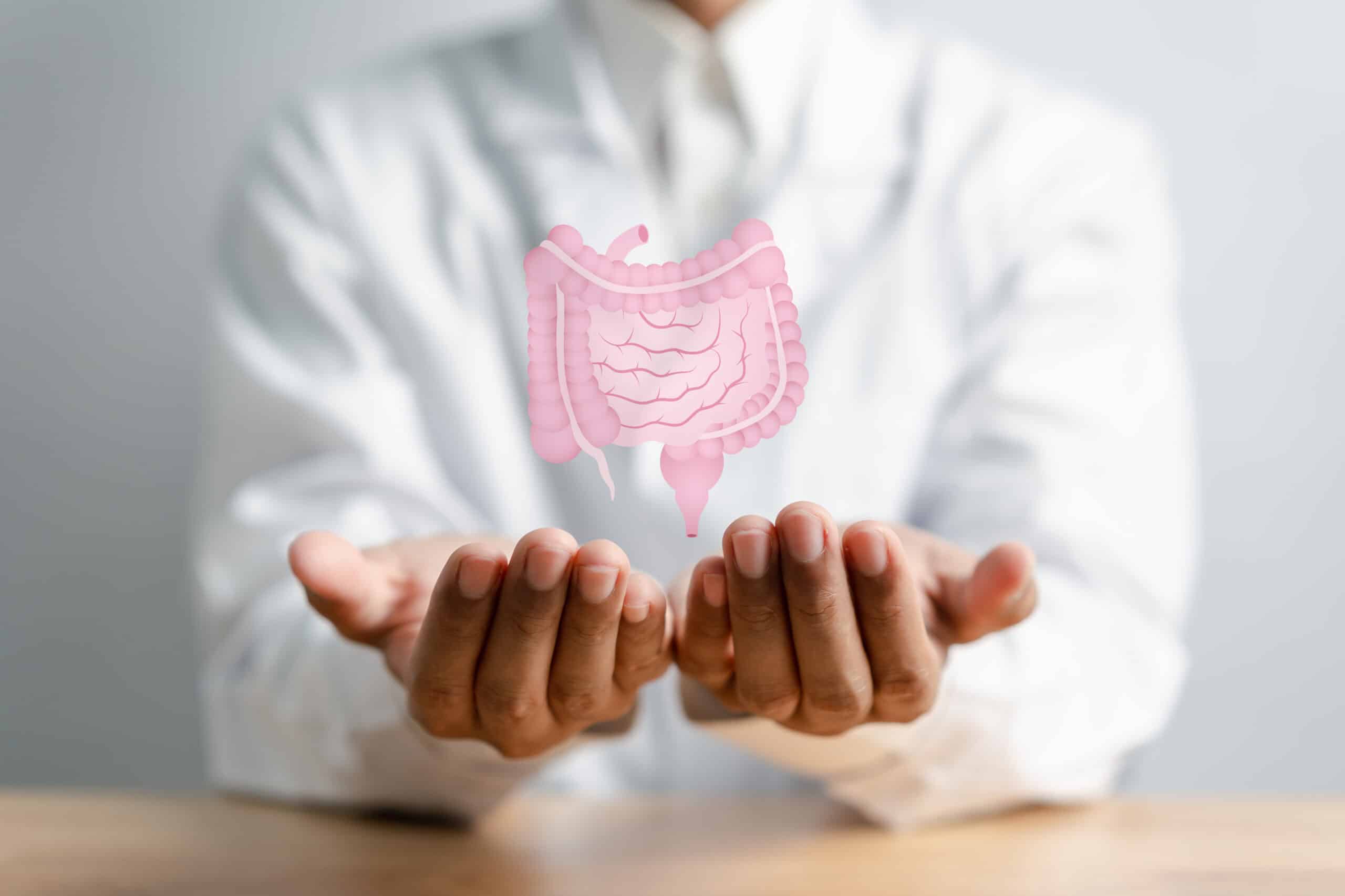 Importance of Gut Health: What You Should Know